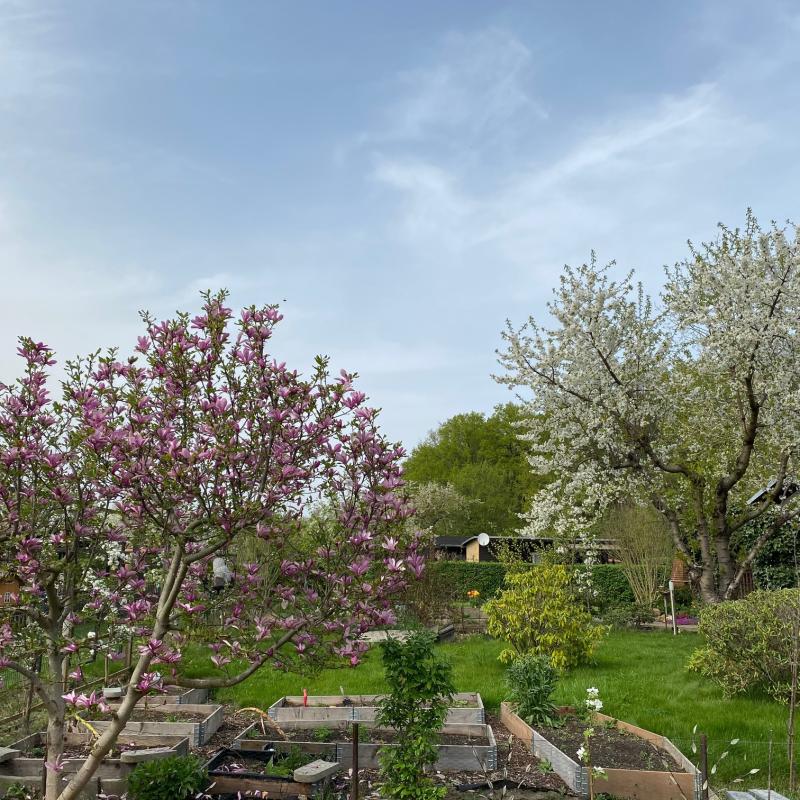 Schönste Gärten Kleingartenverein Brandenburg e.V.